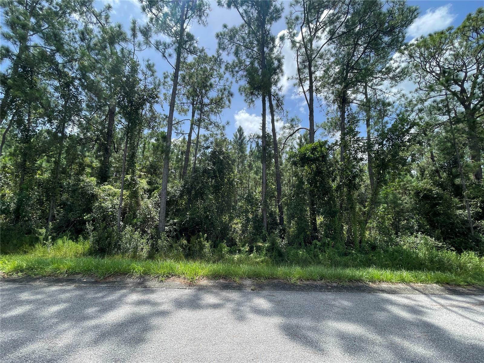 Property Photo:  7255 Cortez Boulevard  FL 33872 