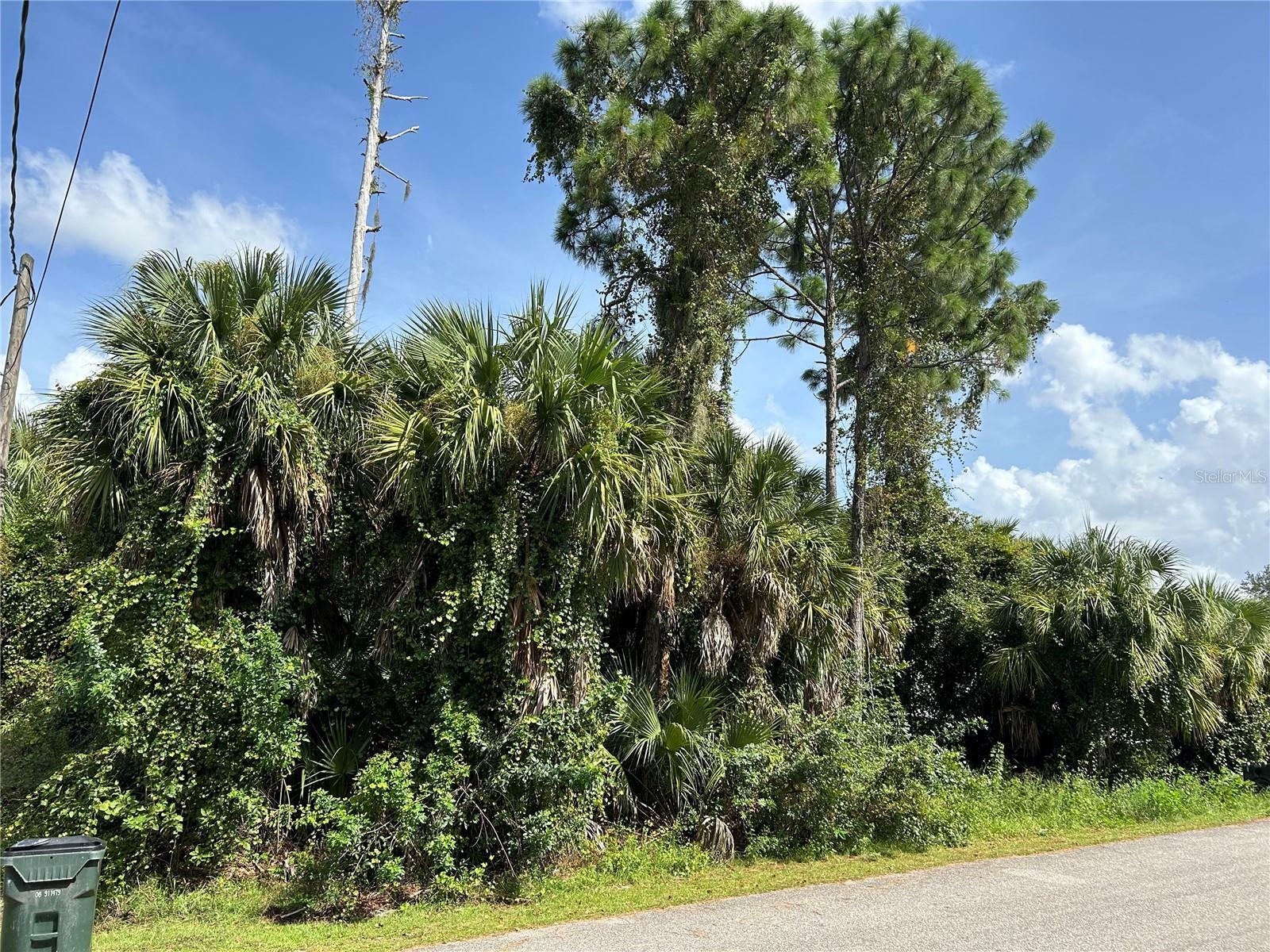 Property Photo:  0000 New Milford Street  FL 34288 