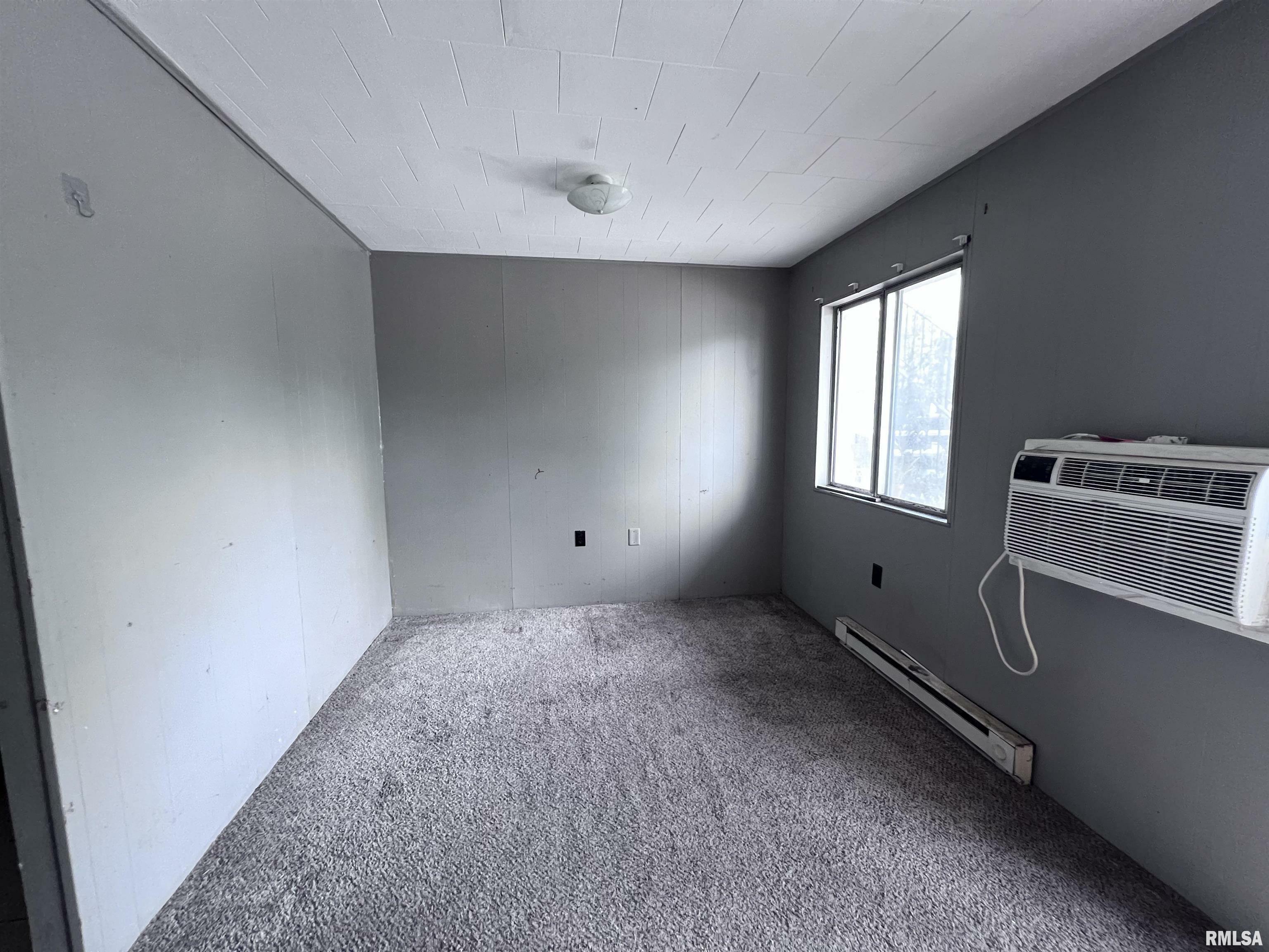 Property Photo: 313 E Mill Street IL 62901