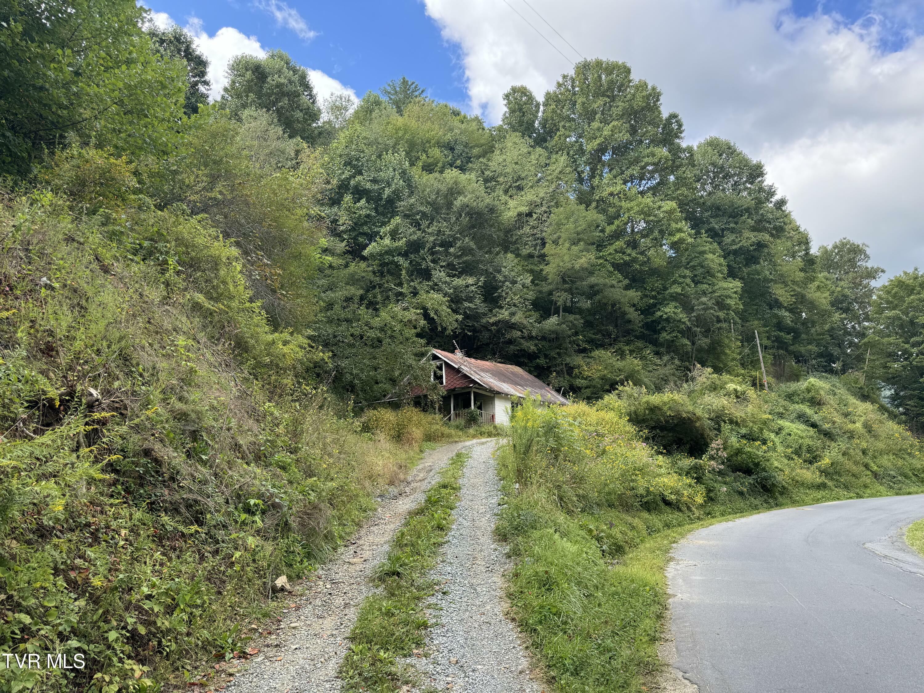 Property Photo:  380 Crabtree Road  TN 37687 