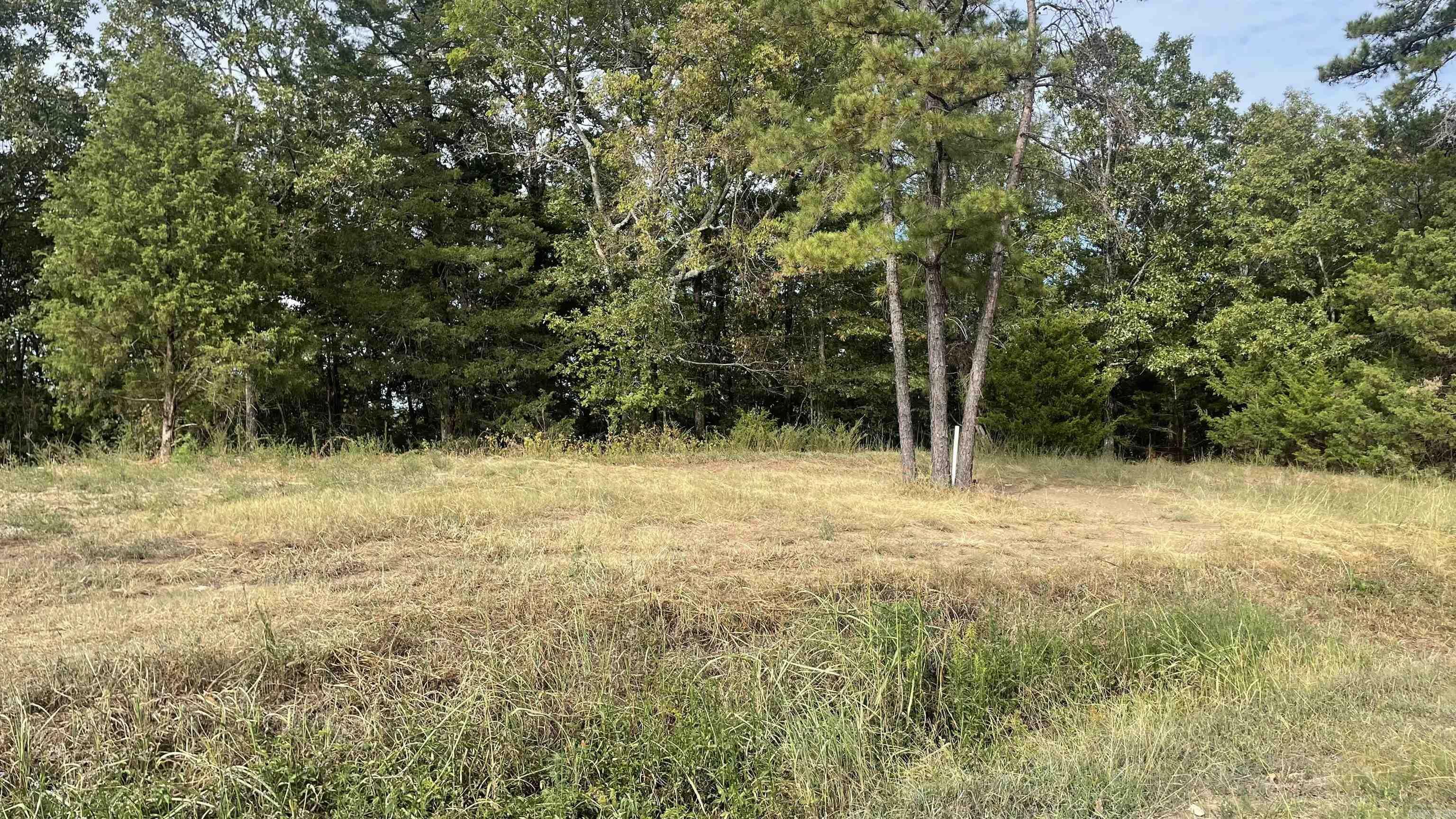 Property Photo:  2410 Pinnacle Ridge Road  AR 72034 