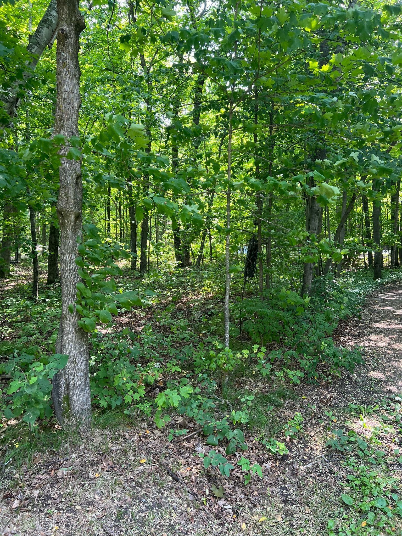 Property Photo:  992 Sarajac Road NE  MN 56655 