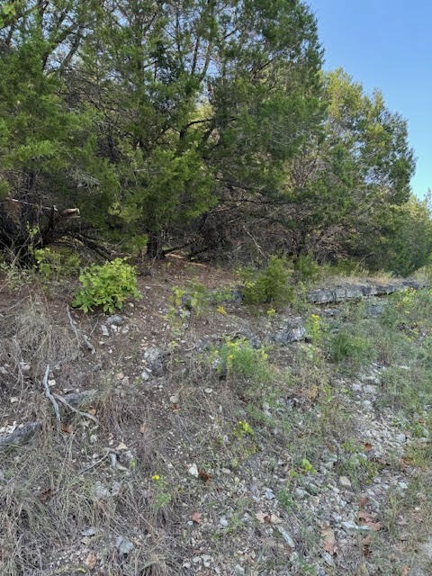 Property Photo:  Table Rock Drive  AR 72631 