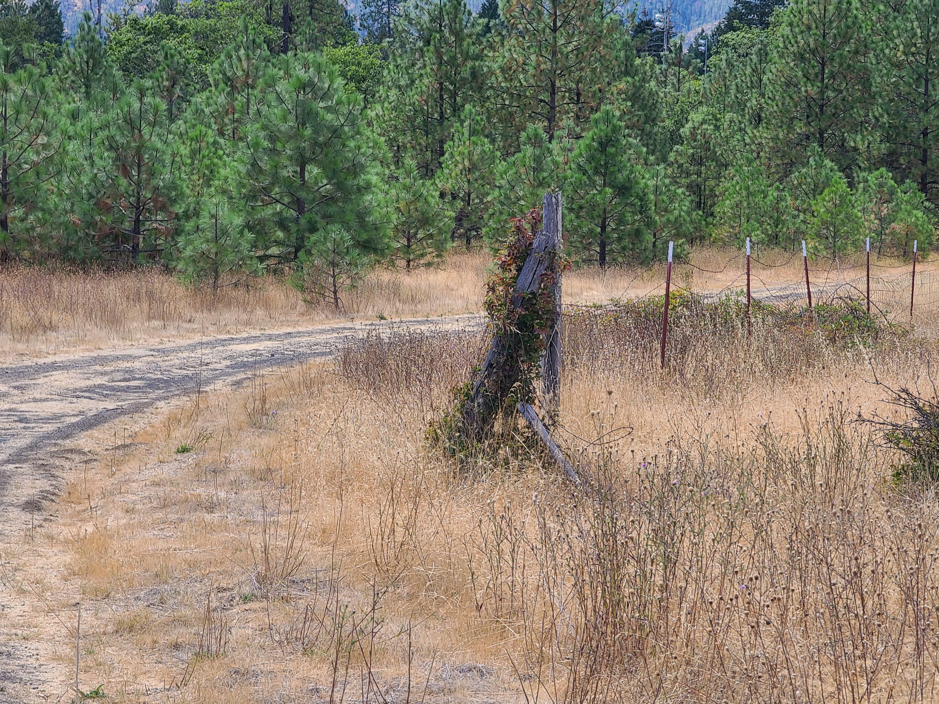 Property Photo:  1502 Laurel Road  OR 97523 