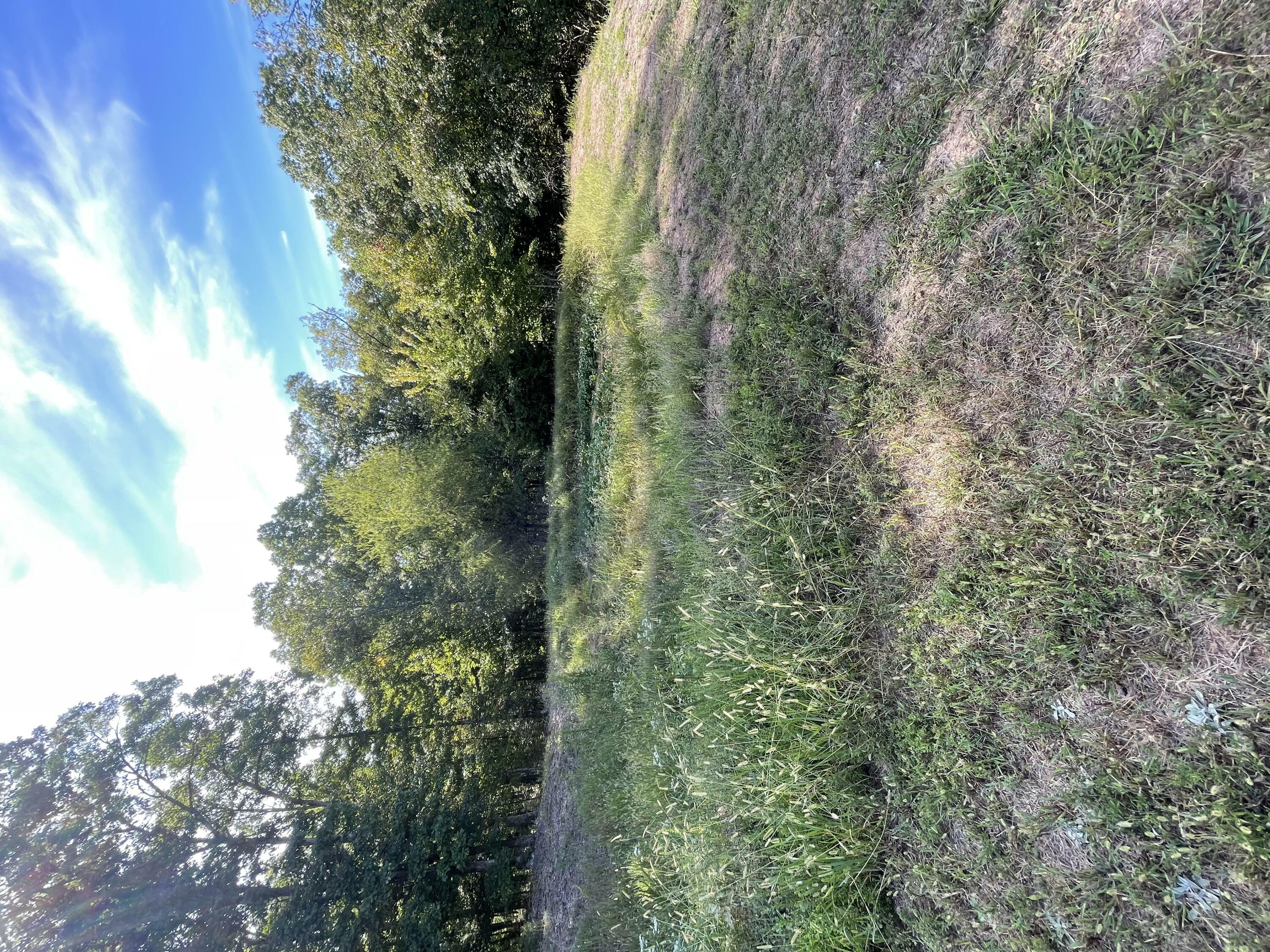 Property Photo: 000 Nc 1600 AR 72601