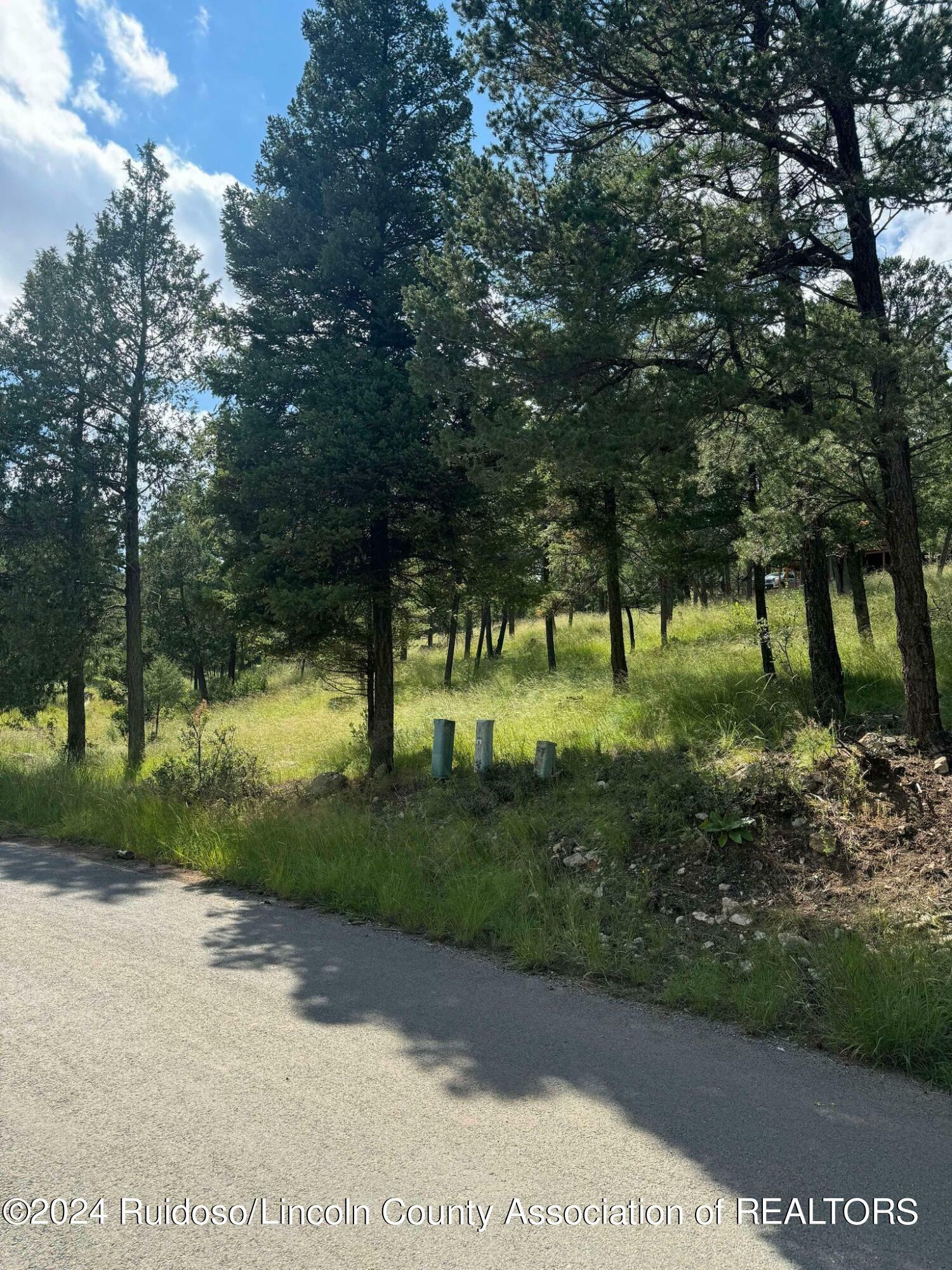 Property Photo:  301 Crown Drive  NM 88345 
