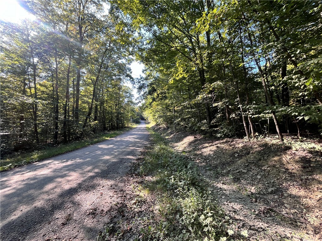 Property Photo:  Lot 2 Lockwood Run Road E  NY 14902 