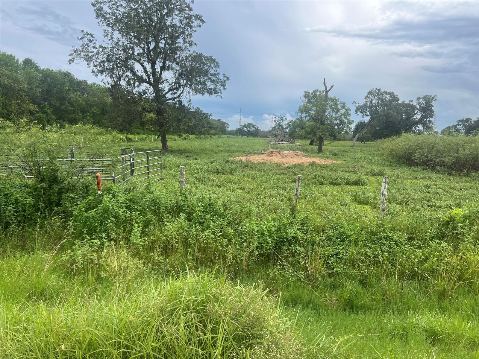 Property Photo:  0 County Road 244  TX 77422 