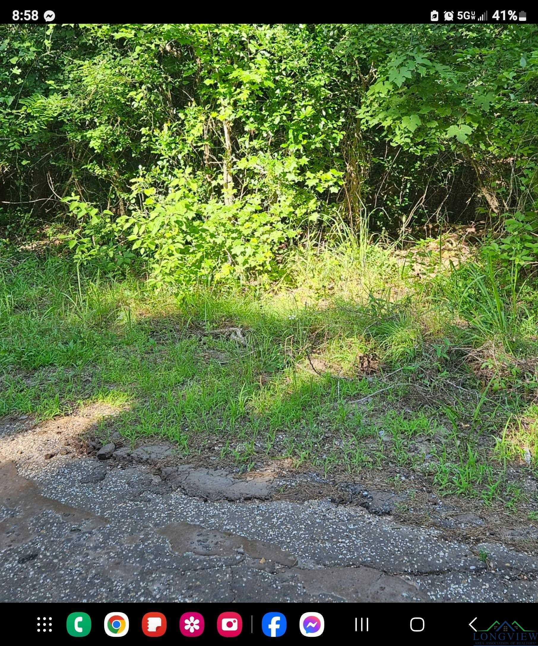 Property Photo:  127 And 137 Desota  TX 75657 