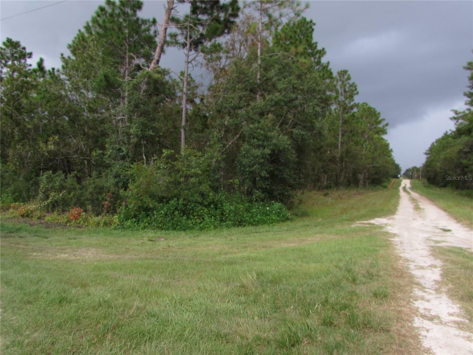 Lot 13 SW 78th Place  Dunnellon FL 34432 photo