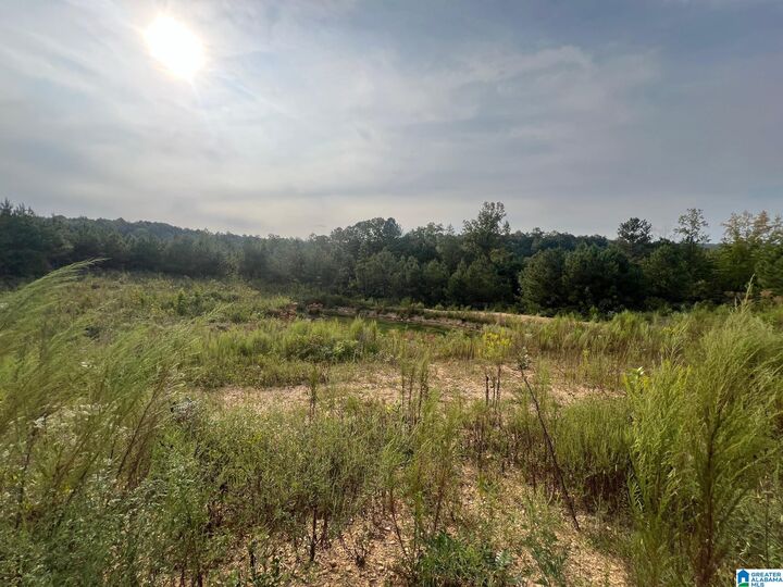 3437 Jackson Trail 4.9 Acres  Altoona AL 35952 photo
