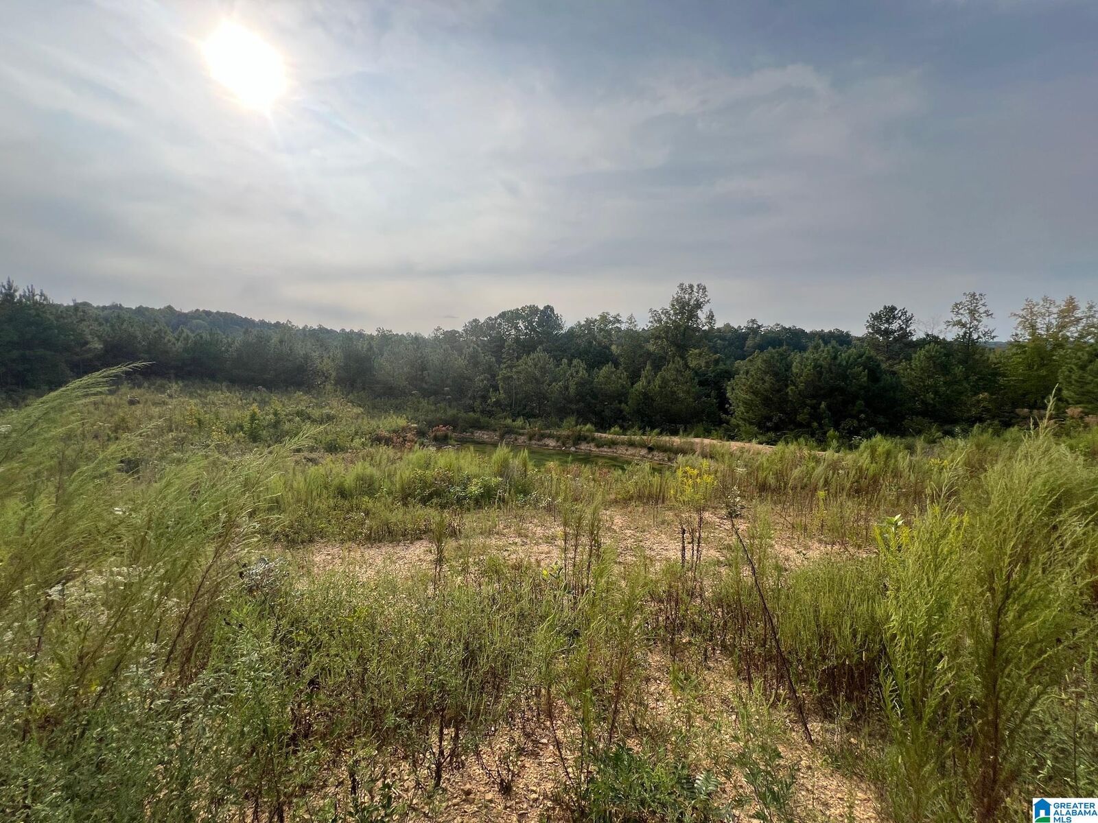 Property Photo:  3437 Jackson Trail 4.9 Acres  AL 35952