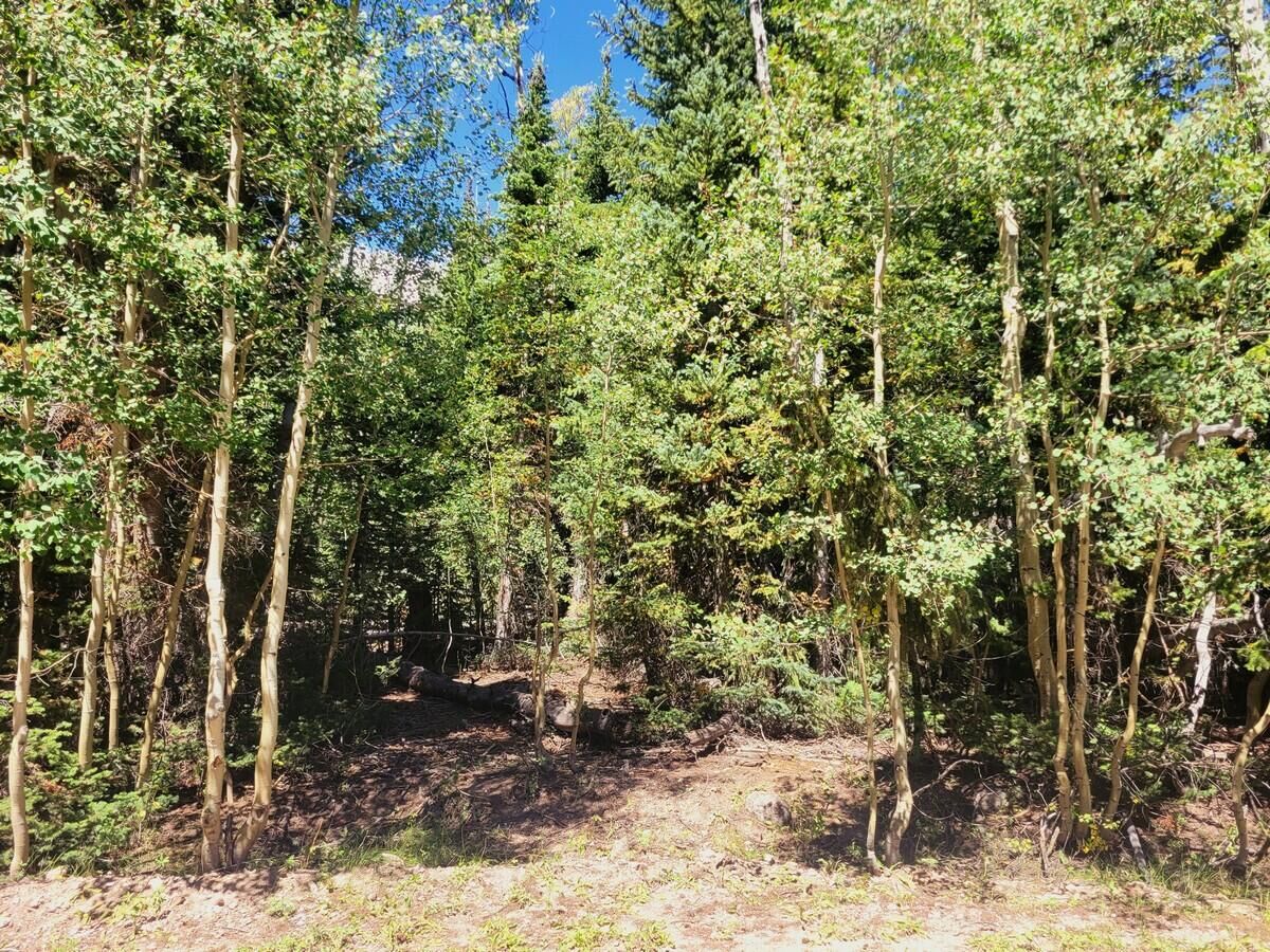 Property Photo: 2143 E 2025 S UT 84719