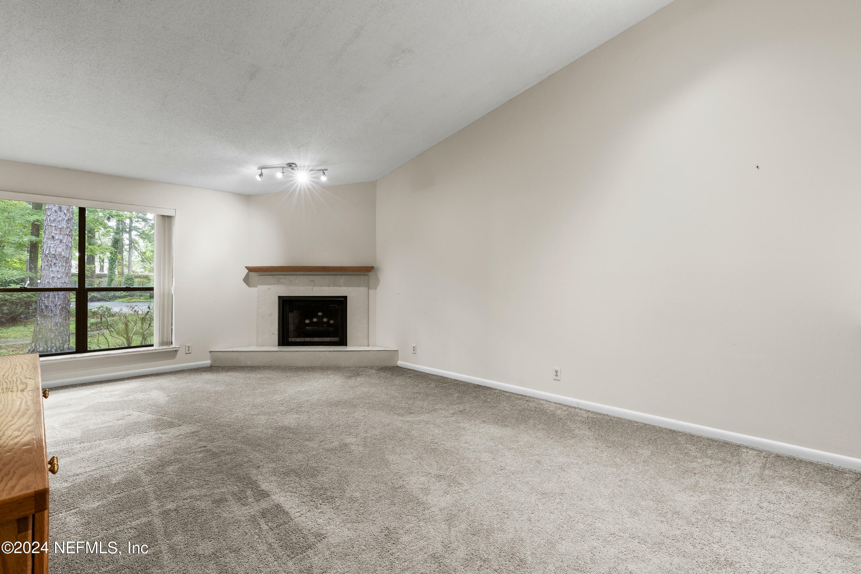 Property Photo:  10377 Big Tree Lane  FL 32257 