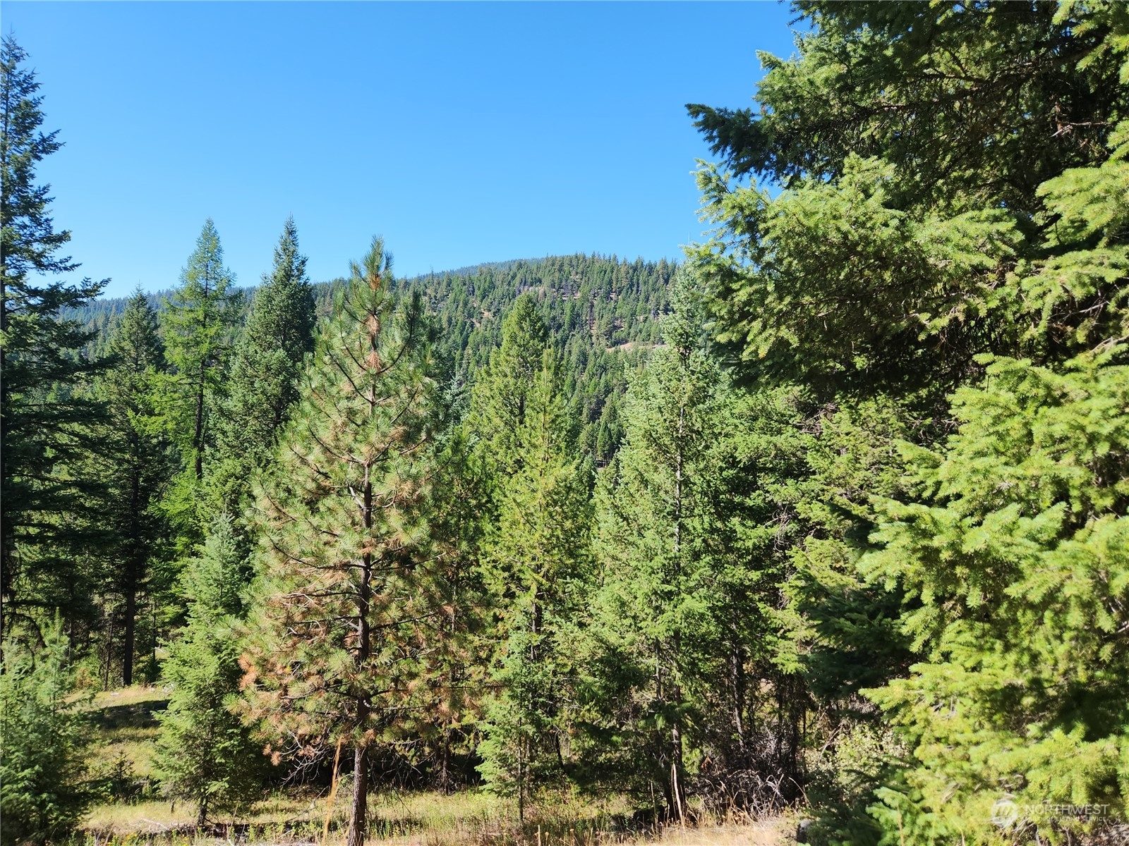 Property Photo:  0 Xxx Turner Lake Road  WA 98855 