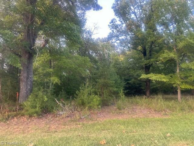 Property Photo:  Lot 3 Charlie Francis Road  NC 27046 