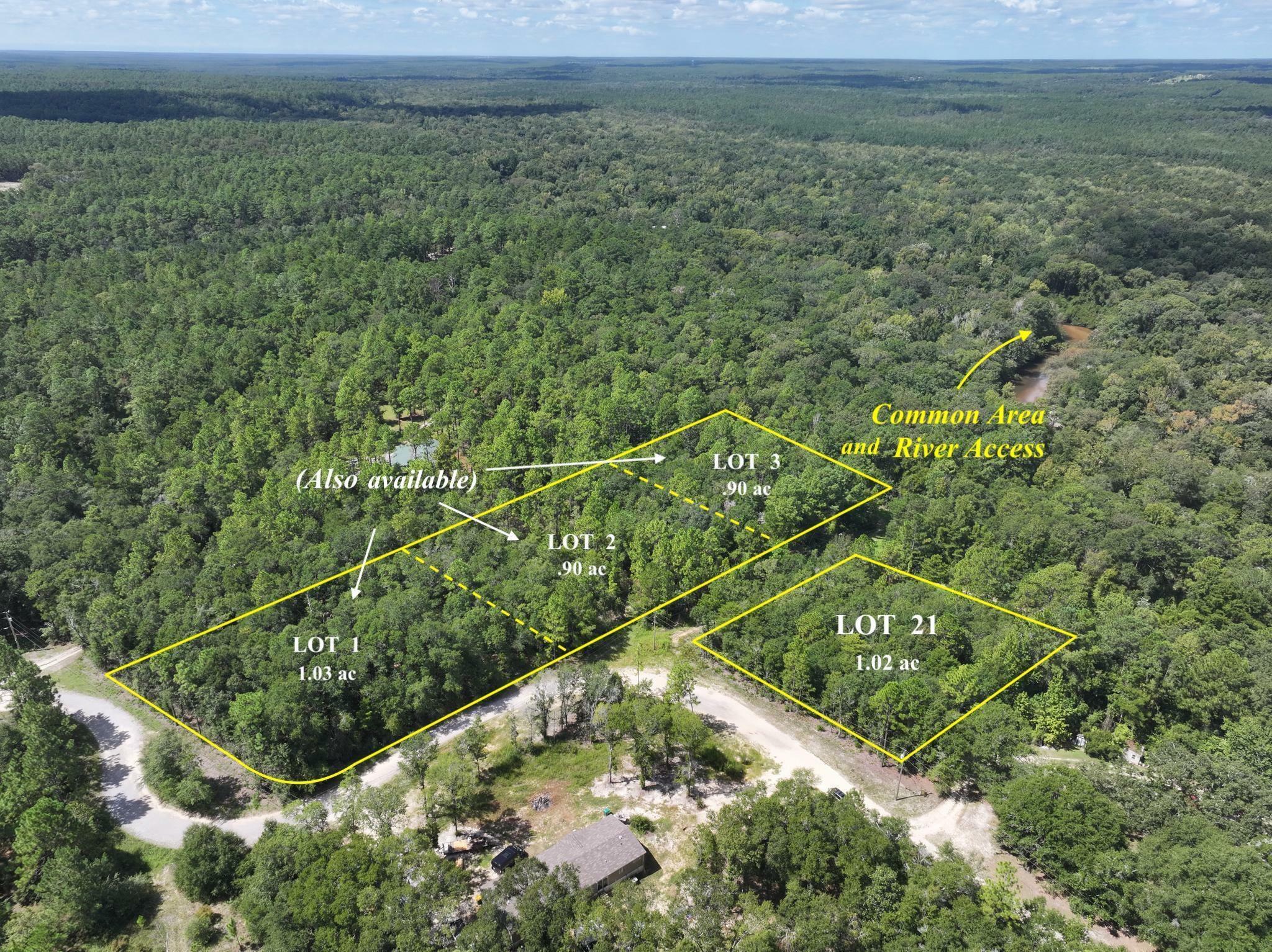 Property Photo:  Tbd River Loop Drive Lot 21  FL 32536 