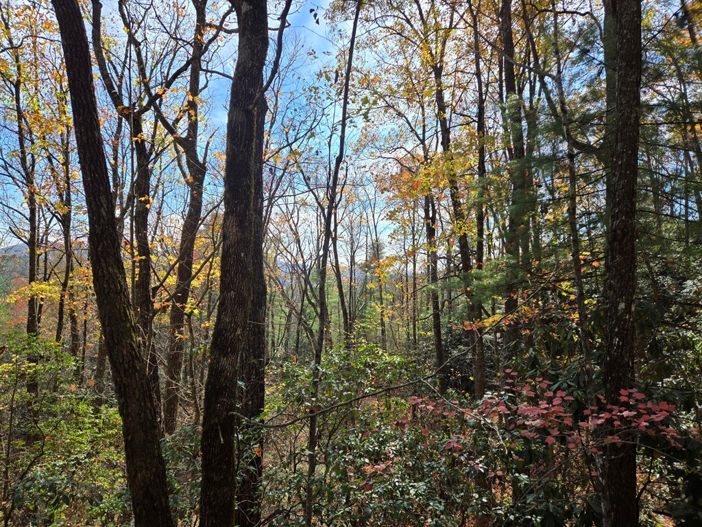 Property Photo: 5.8 Copper Creek Rd NC 28906