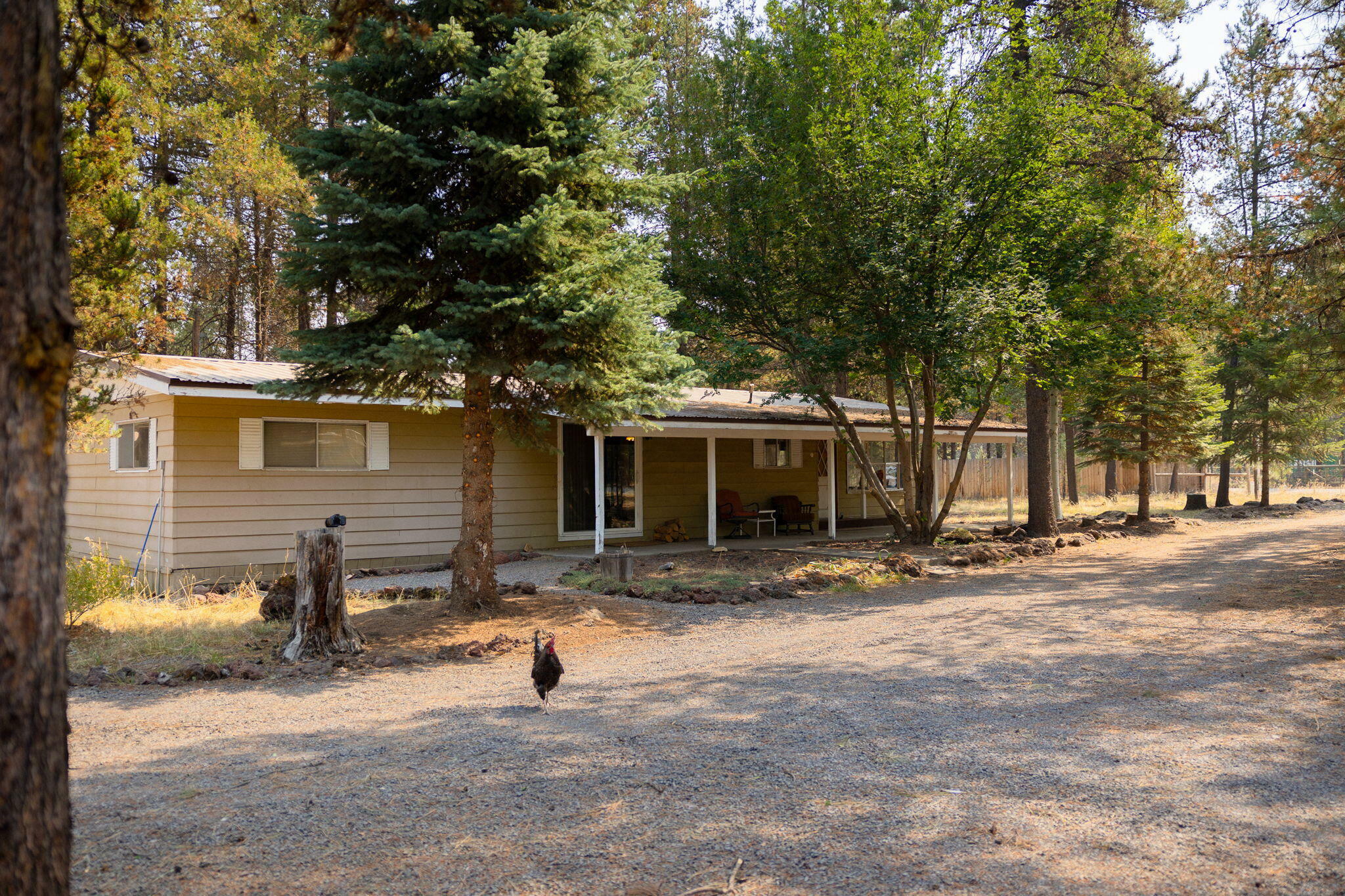 Property Photo:  16054 Hawks Lair Road  OR 97739 