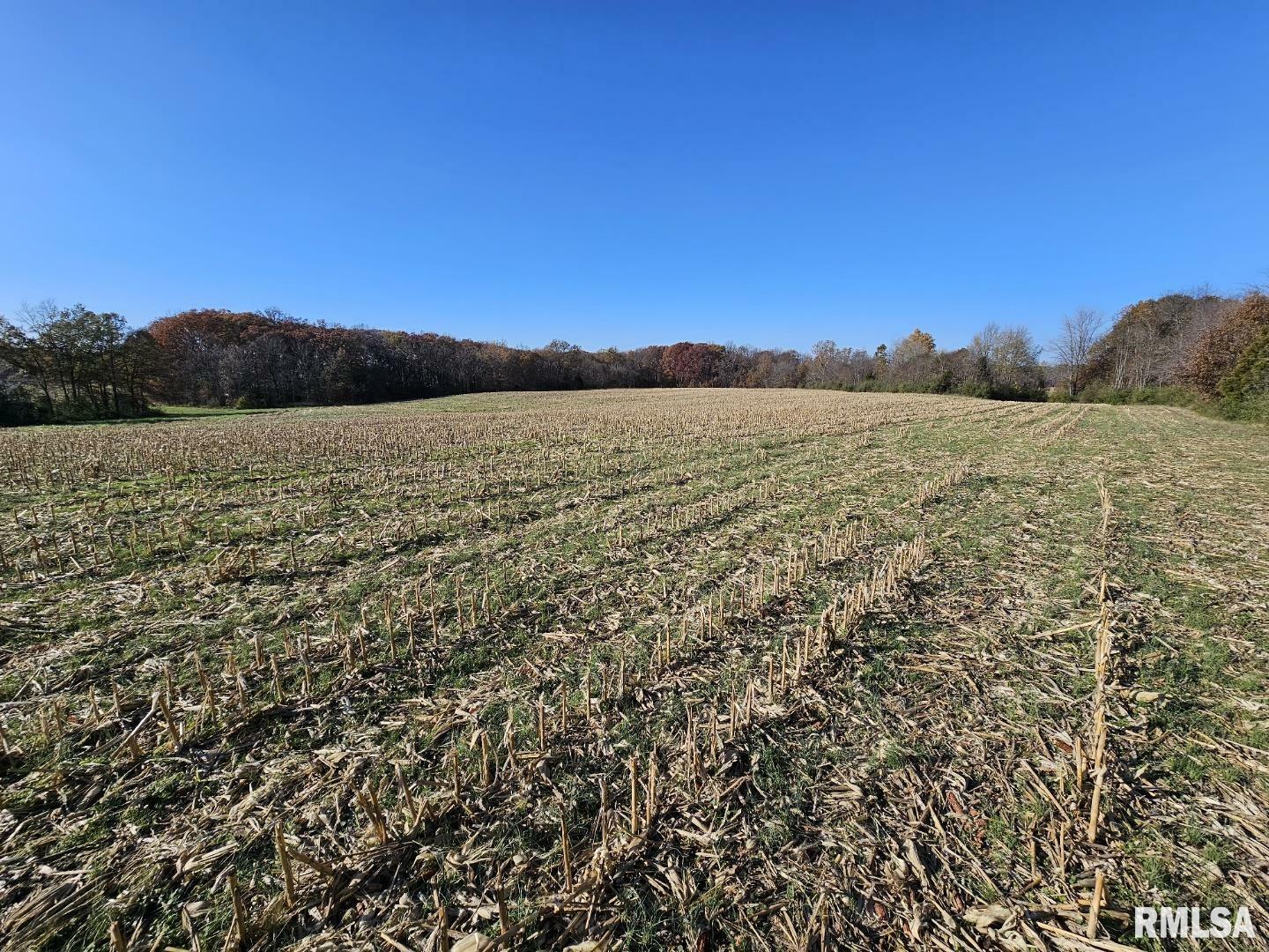 Property Photo:  0000 N Stanford Lane  IL 62872 