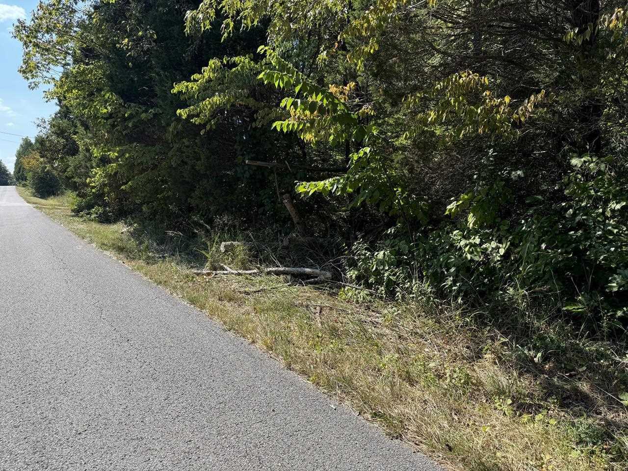 Property Photo:  Tract 1 William Simmons Road  KY 42101 