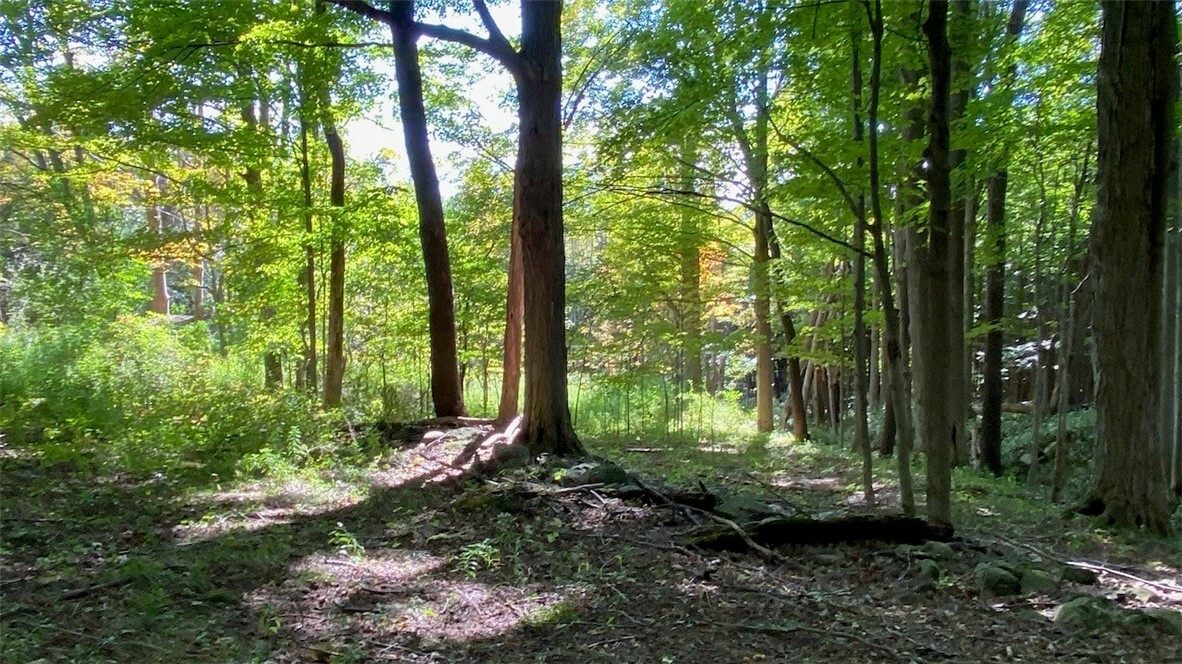 Property Photo:  5507 Booth Road  NY 13092 