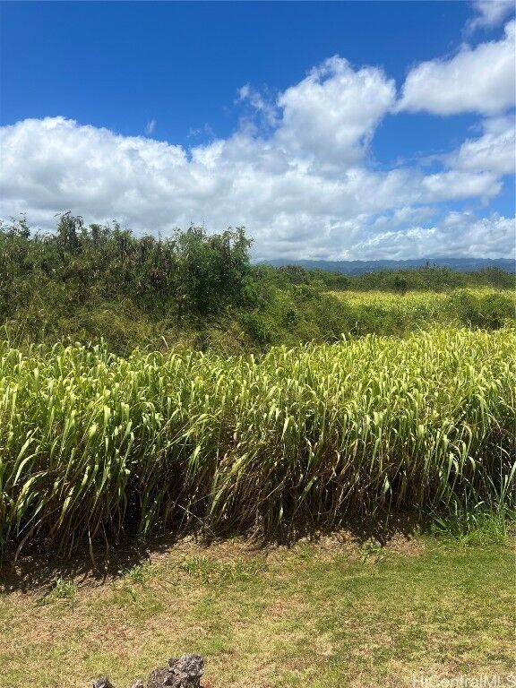 94-944 Anoiki Street Unit 5  Waipahu HI 96797 photo