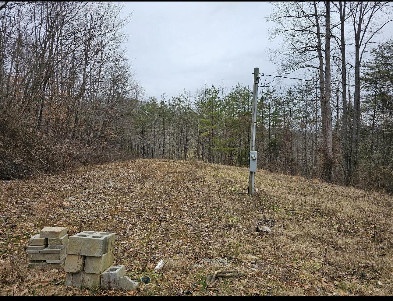 Property Photo:  10374 South Wilderness Road  KY 40445 