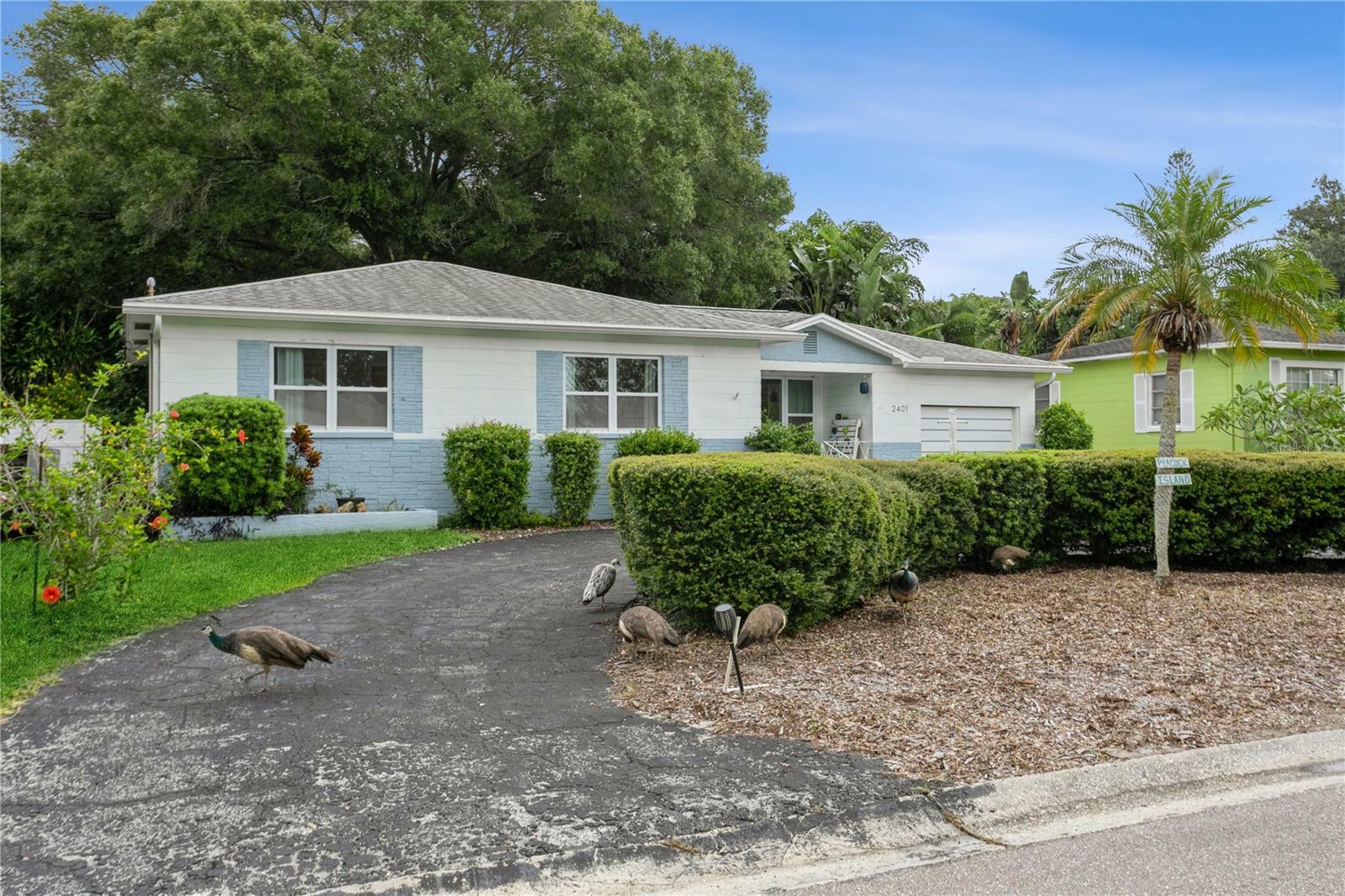 Property Photo:  2401 51st Street N  FL 33710 