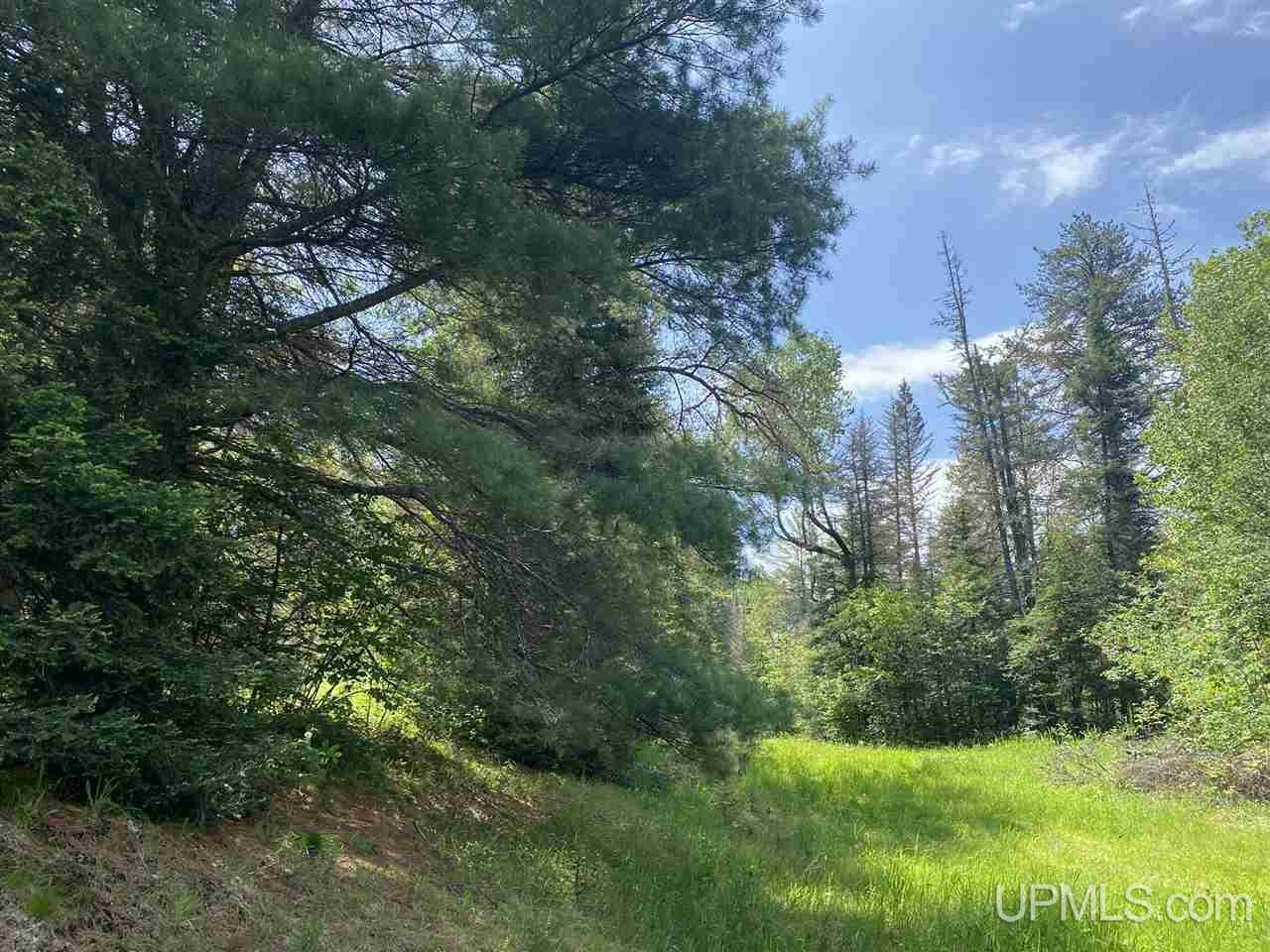 Property Photo:  923 E Stickney Road  MI 49814 