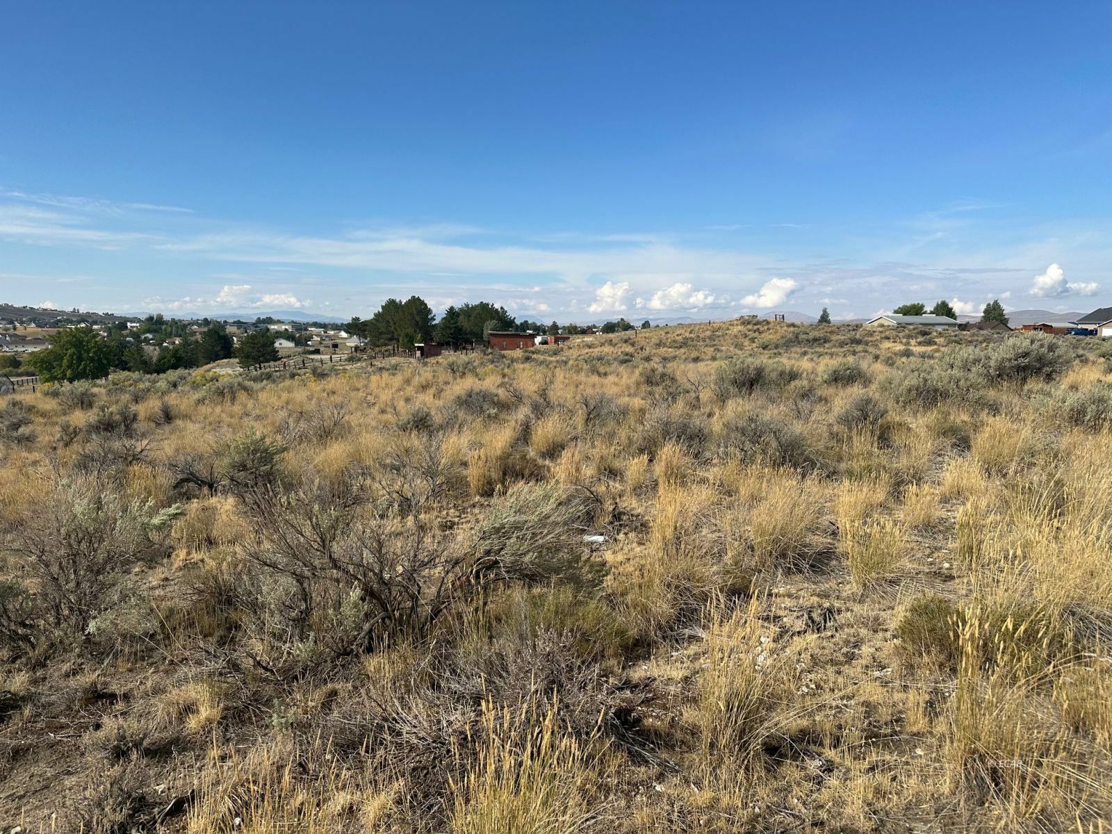 Property Photo:  165 Bluecrest Drive  NV 89815 