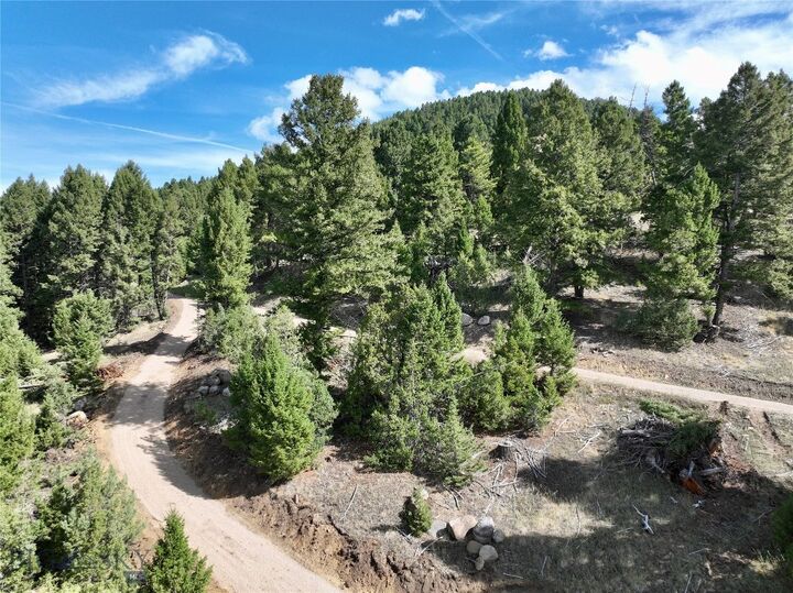 Property Photo: Tbd Scranton Lode Lot 3 Ms 3667 Road MT 59858