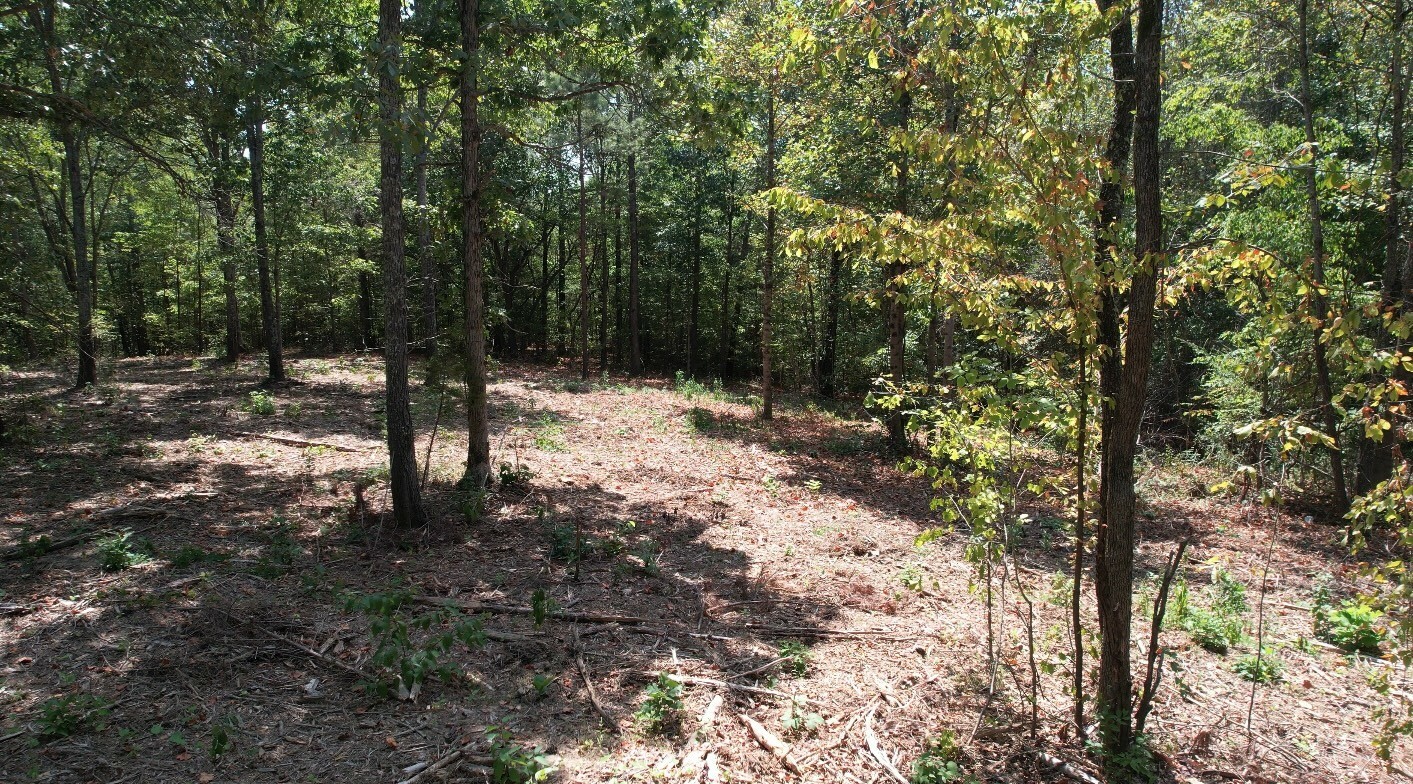 Property Photo:  7011 Waynesboro Hwy  TN 38464 