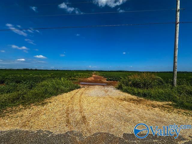 Property Photo:  480 Acres 6th Street  AL 35646 