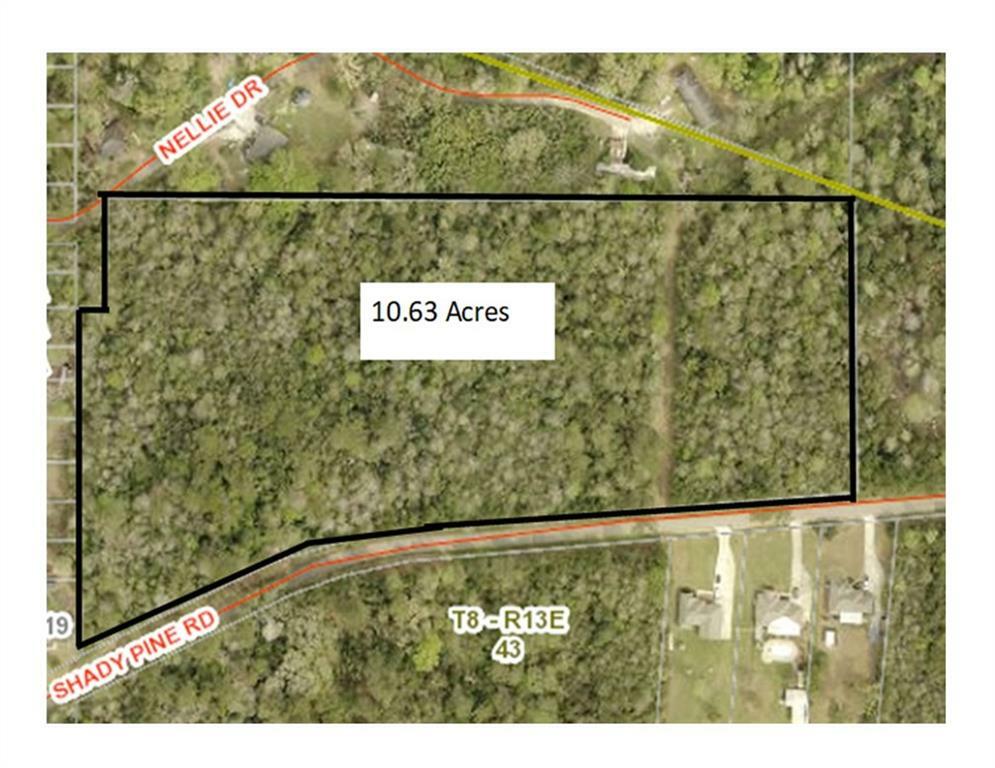 Property Photo:  10.63 Acres Shady Pine Road  LA 70445 