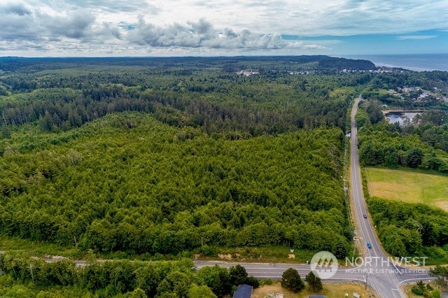 Property Photo:  0 Corner SR 109 And Ocean Beach  WA 98571 