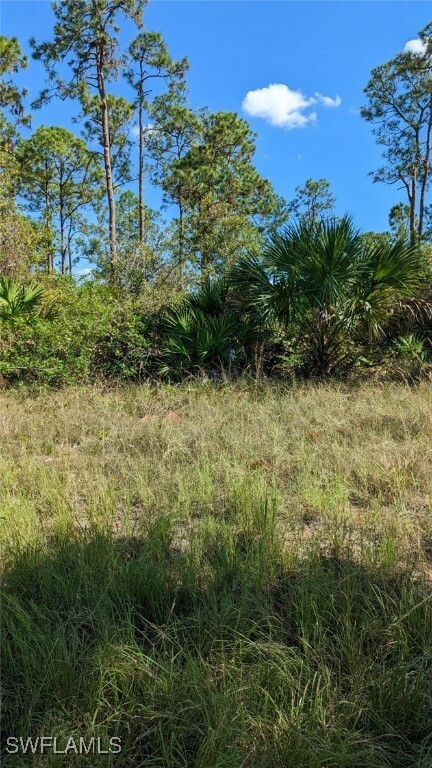 Property Photo:  1816 Richmond Avenue  FL 33972 