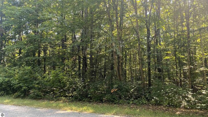 Property Photo: Lot 466 Northwood Drive MI 49730