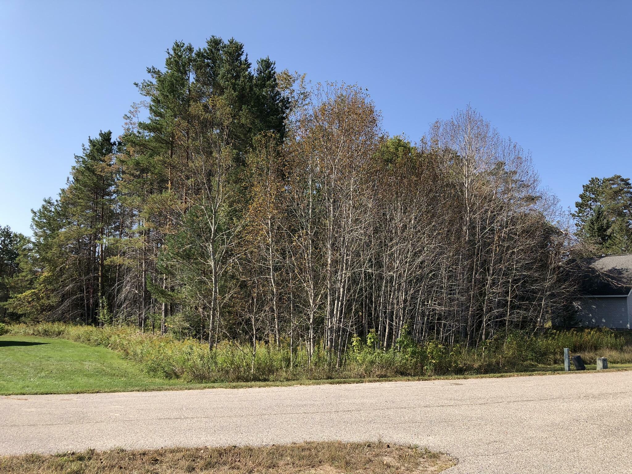 Property Photo: 6430 Admirals Point Drive MI 49706