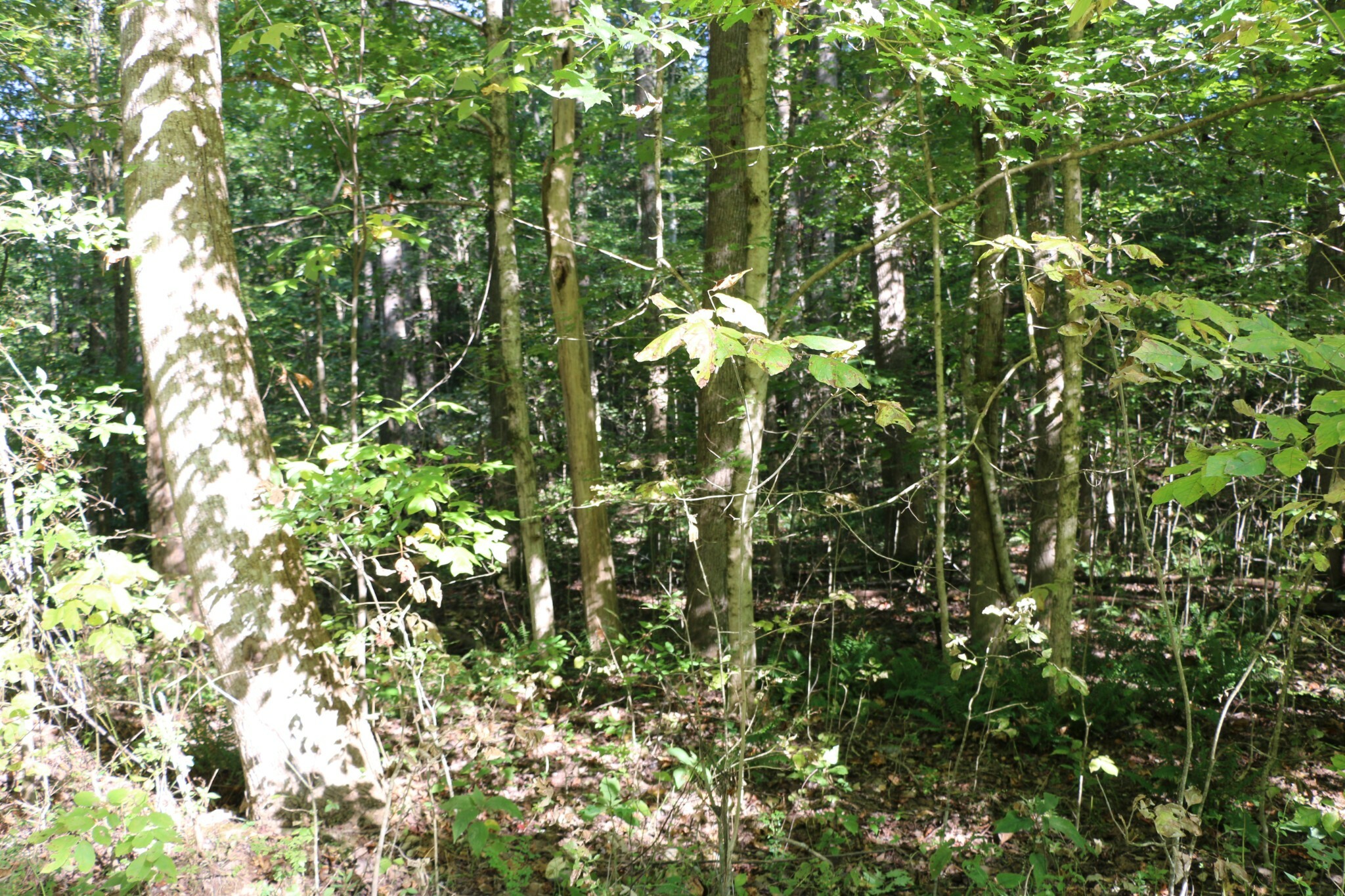 Property Photo: 166 Hermitage Cir TN 37028