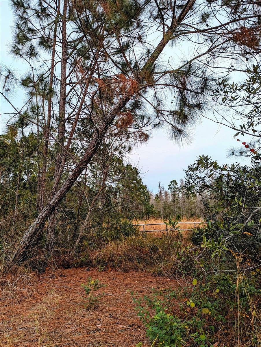 Property Photo:  Sweet Hill Rd  FL 33868 