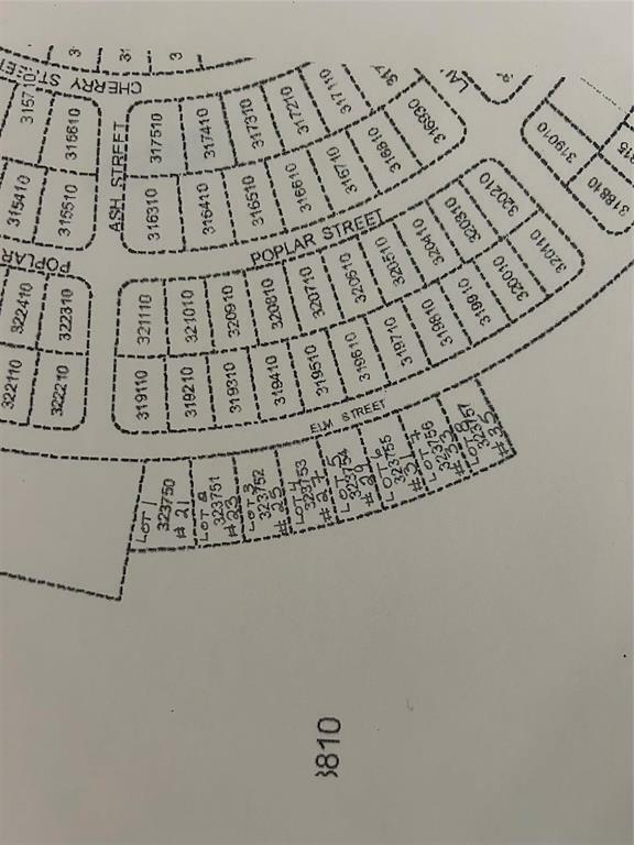 Photo de la propriété:  31 Elm Street  MB R0E 1P0 