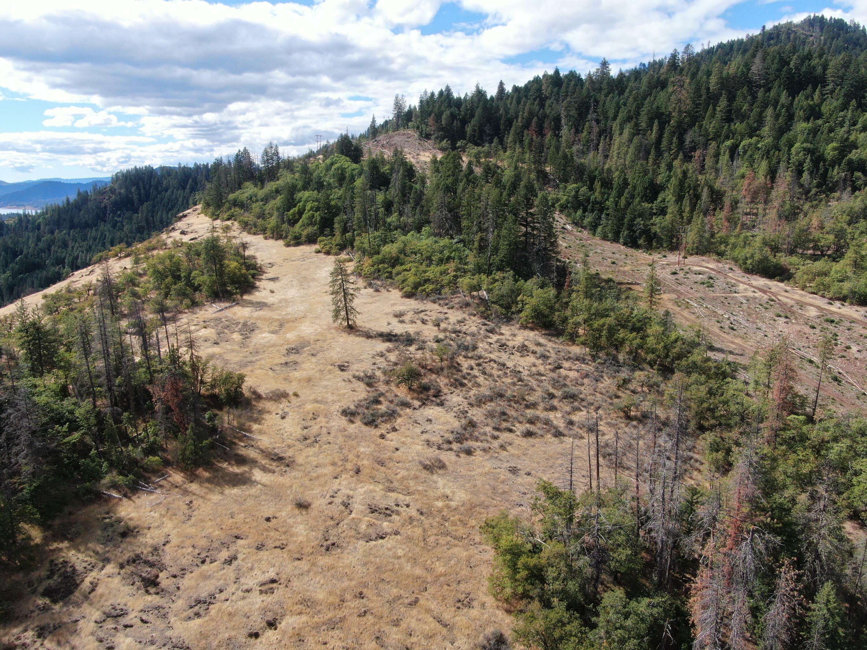 Property Photo:  Crater Lake Highway  OR 97536 