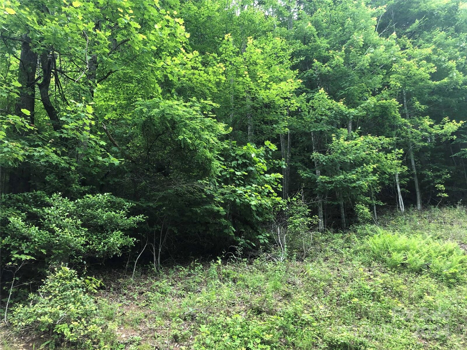 Property Photo: 000 N Blue Ridge Parkway E 167 NC 28640