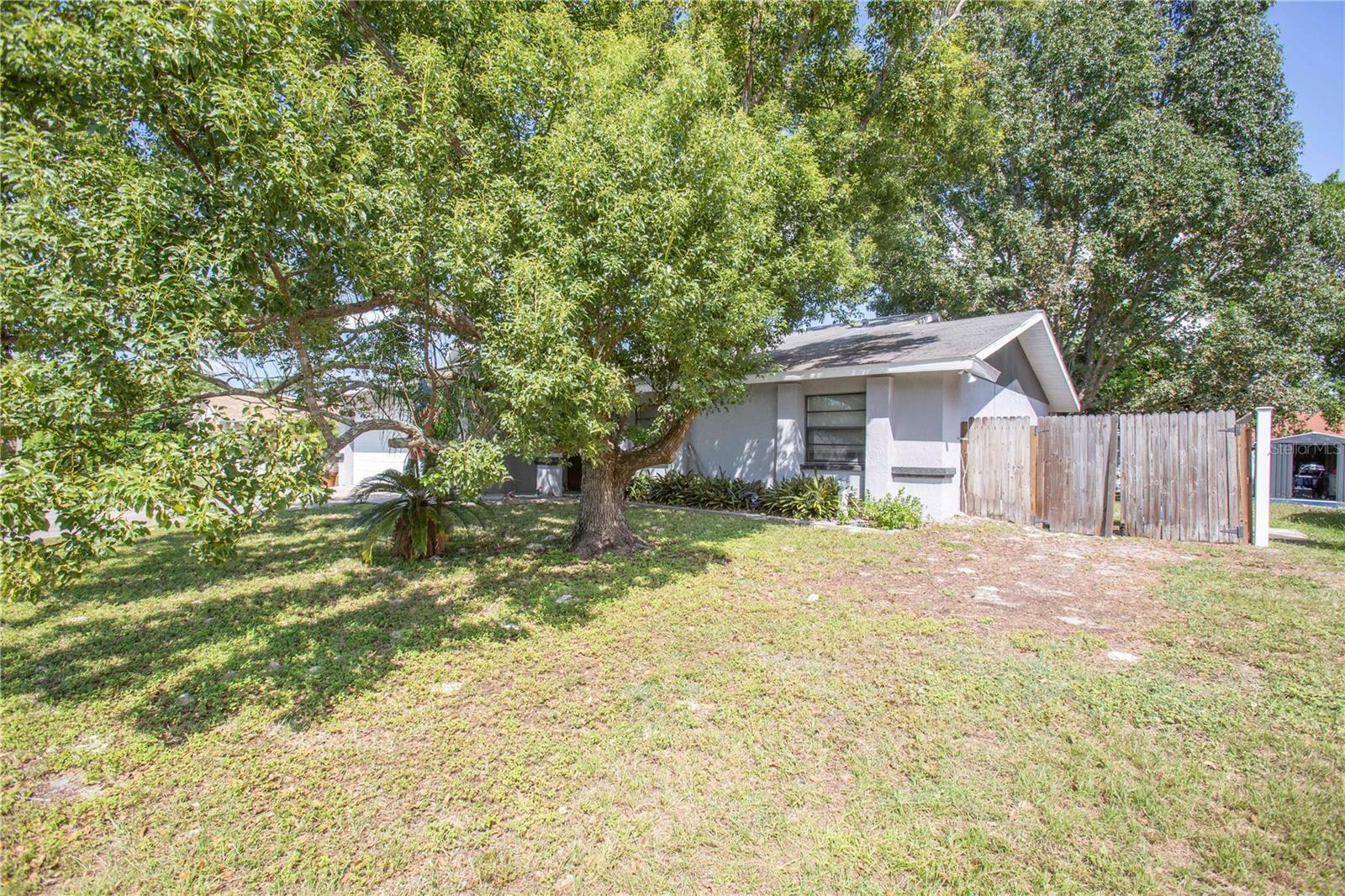 Property Photo:  8102 Buttonball Lane  FL 34668 