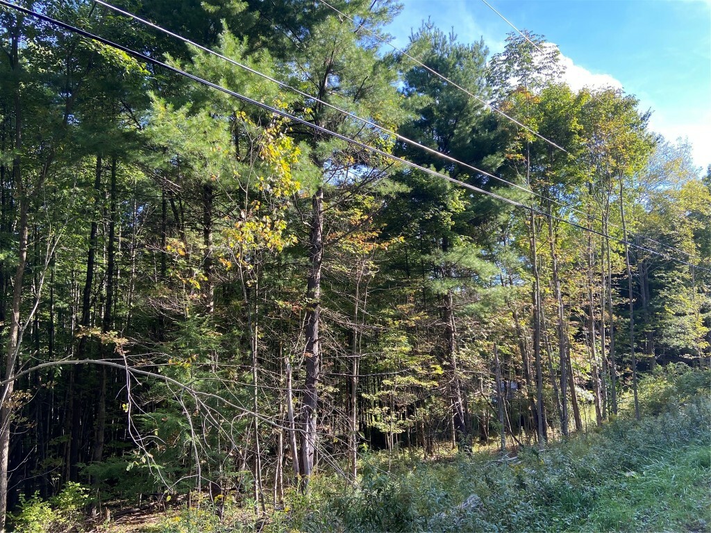 Property Photo:  251 Mountain Road  NY 13865 