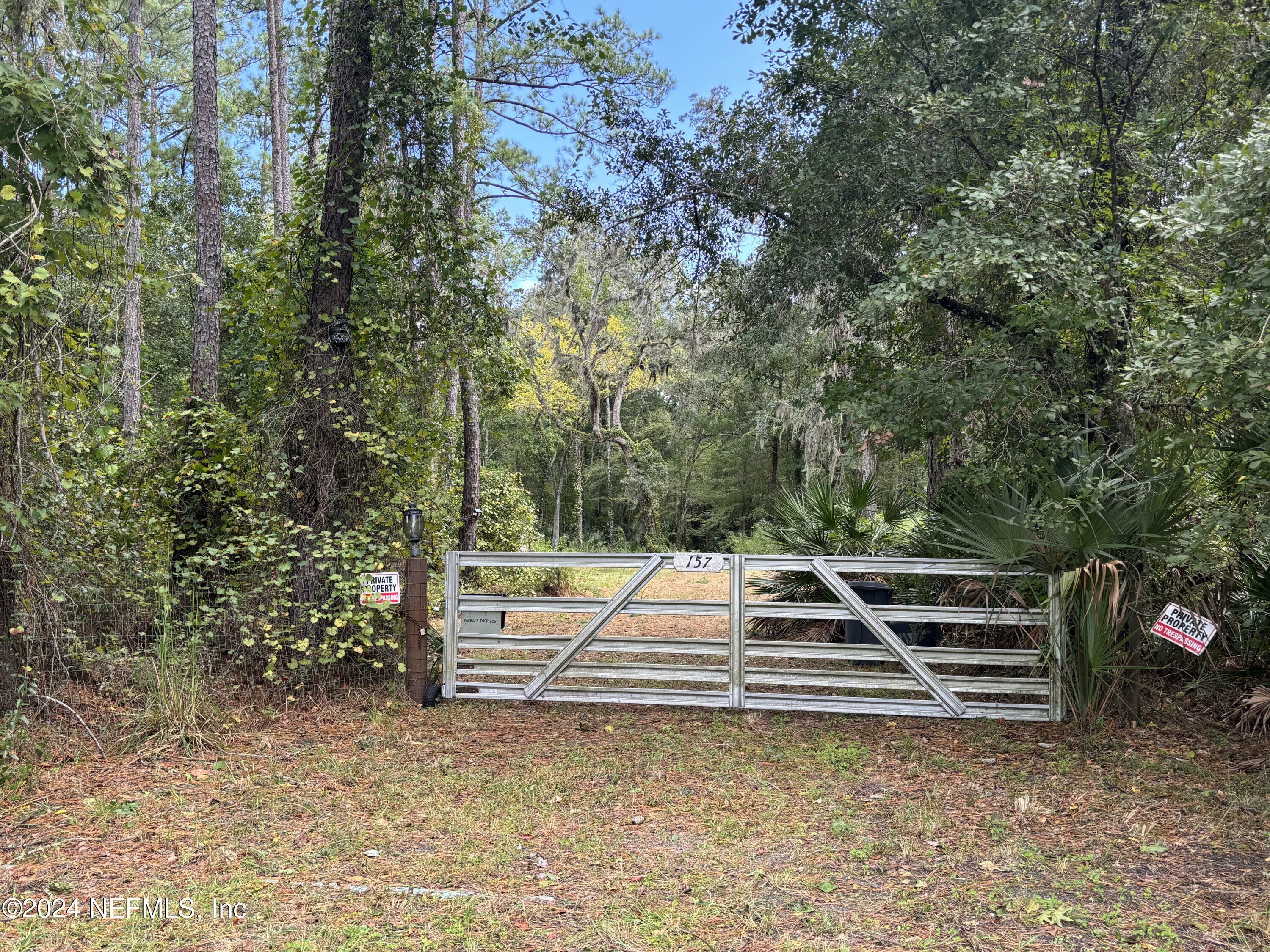 157 Pine Tree Road  Palatka FL 32177 photo