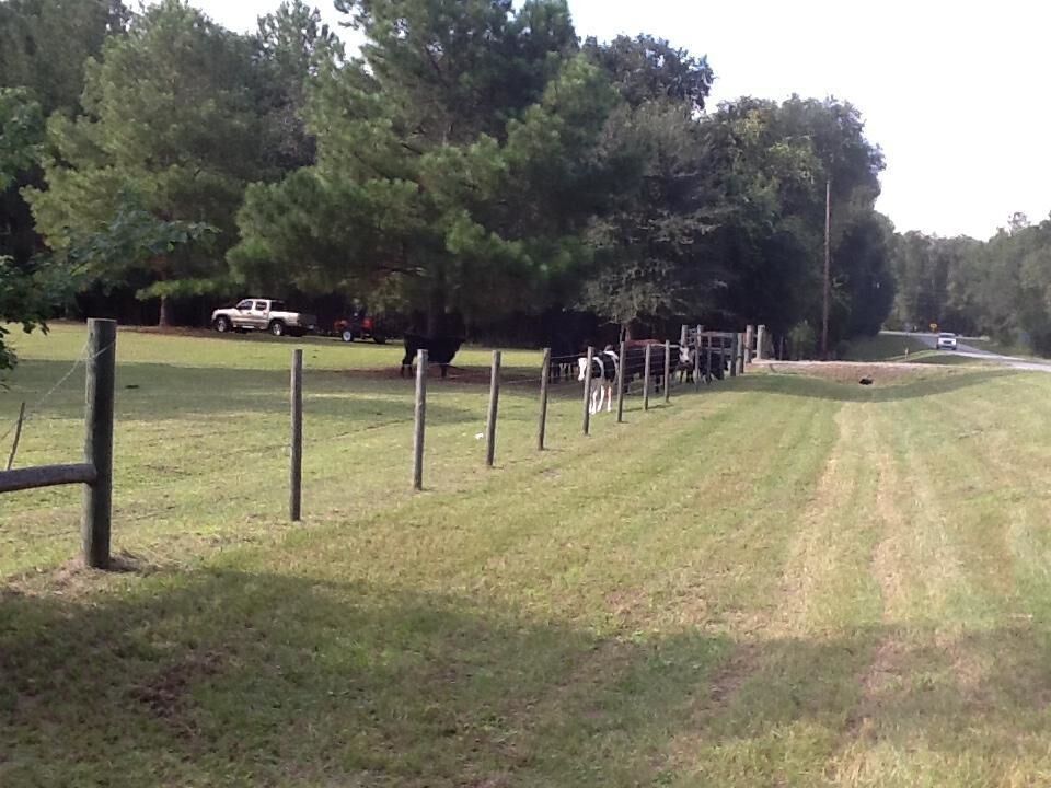 Property Photo:  0 NE Dusty Miller Avenue  FL 32350 