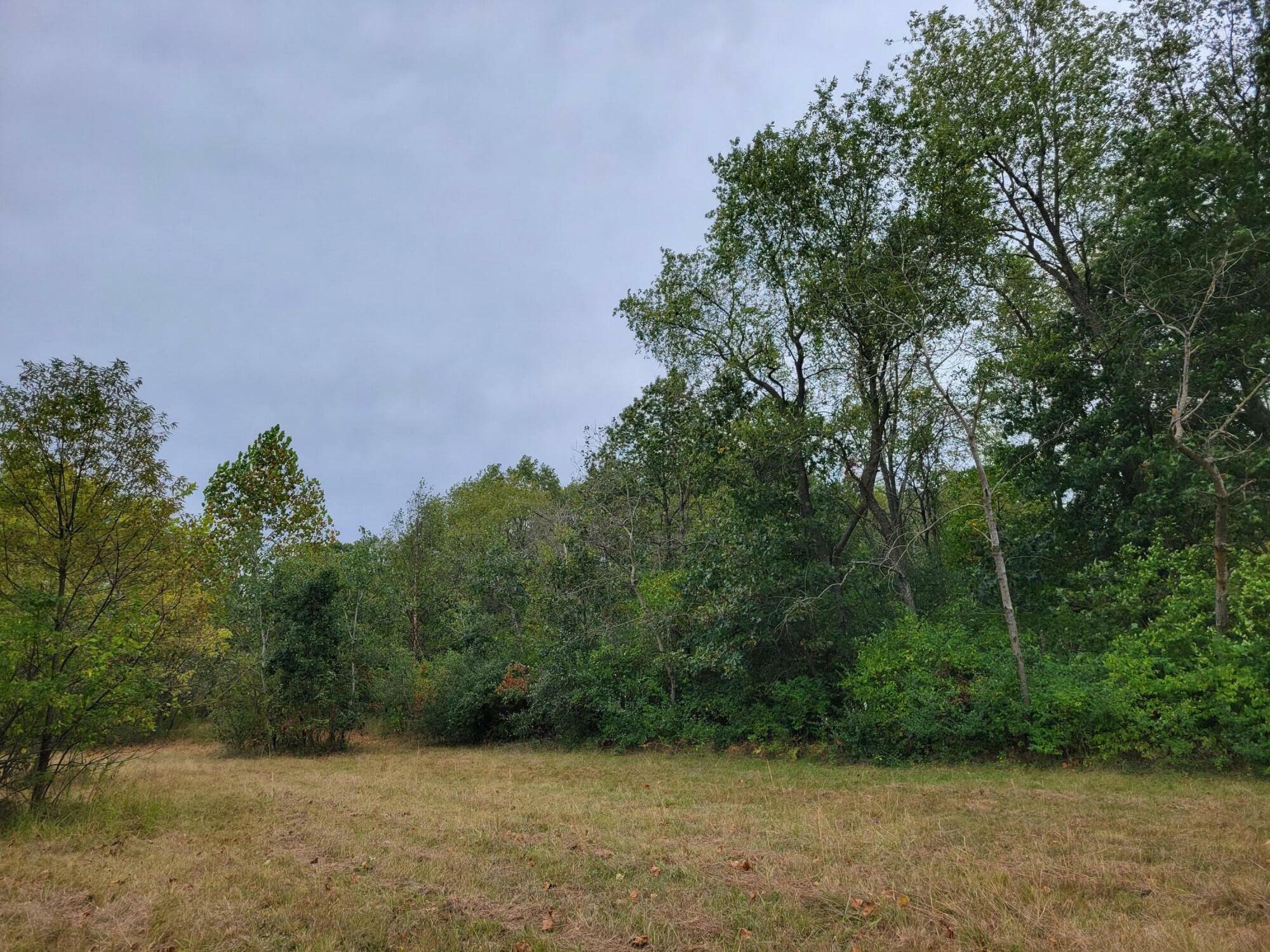 Property Photo:  Lot 1 N 100  IN 46349 