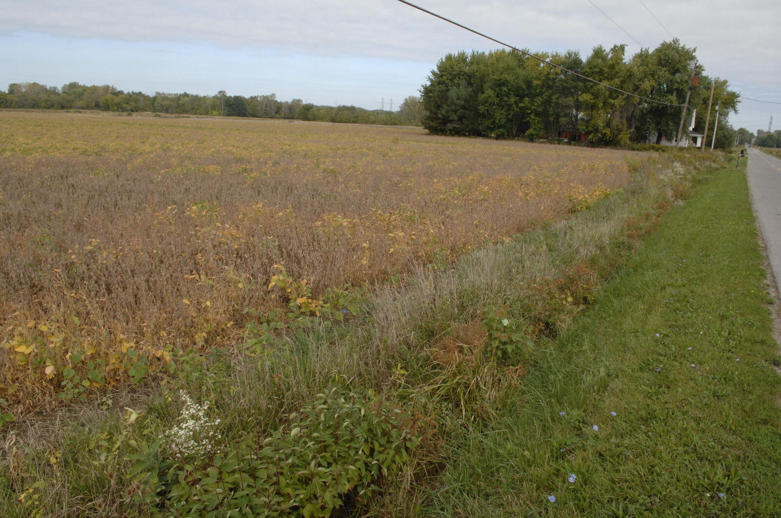Property Photo: Holden Road MI 49106